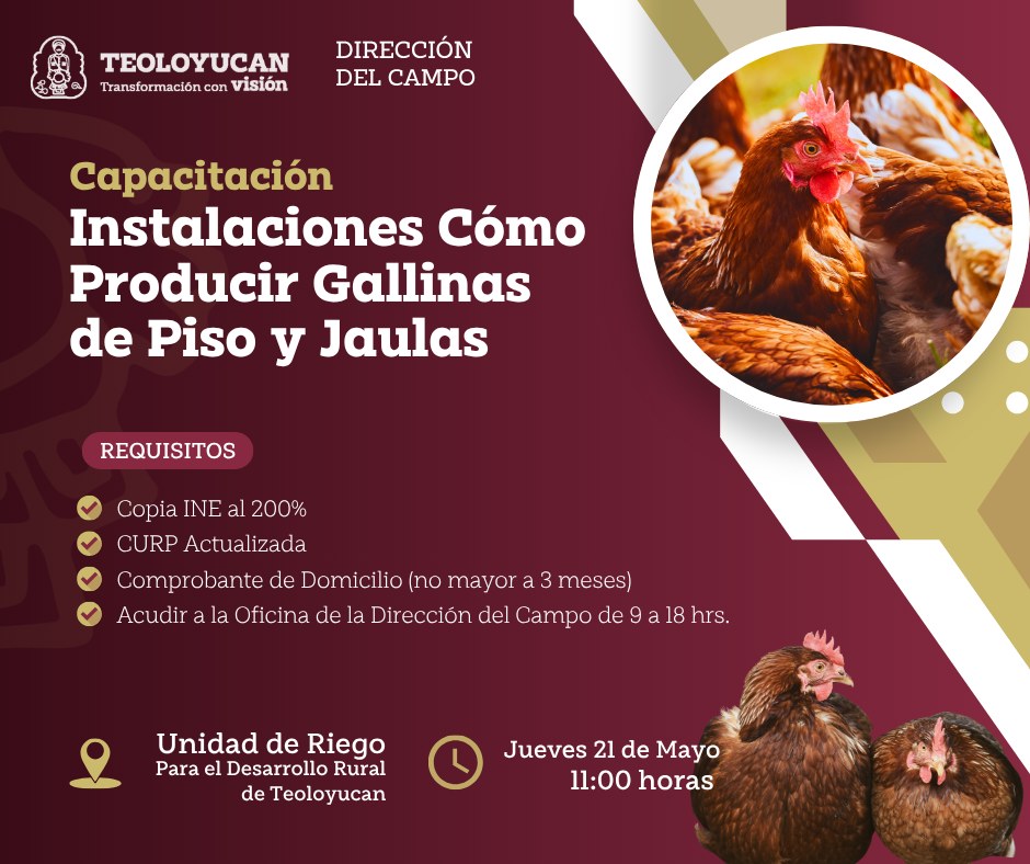 Capacitación: “Instalaciones Cómo Producir Gallinas de Piso y Jaulas”