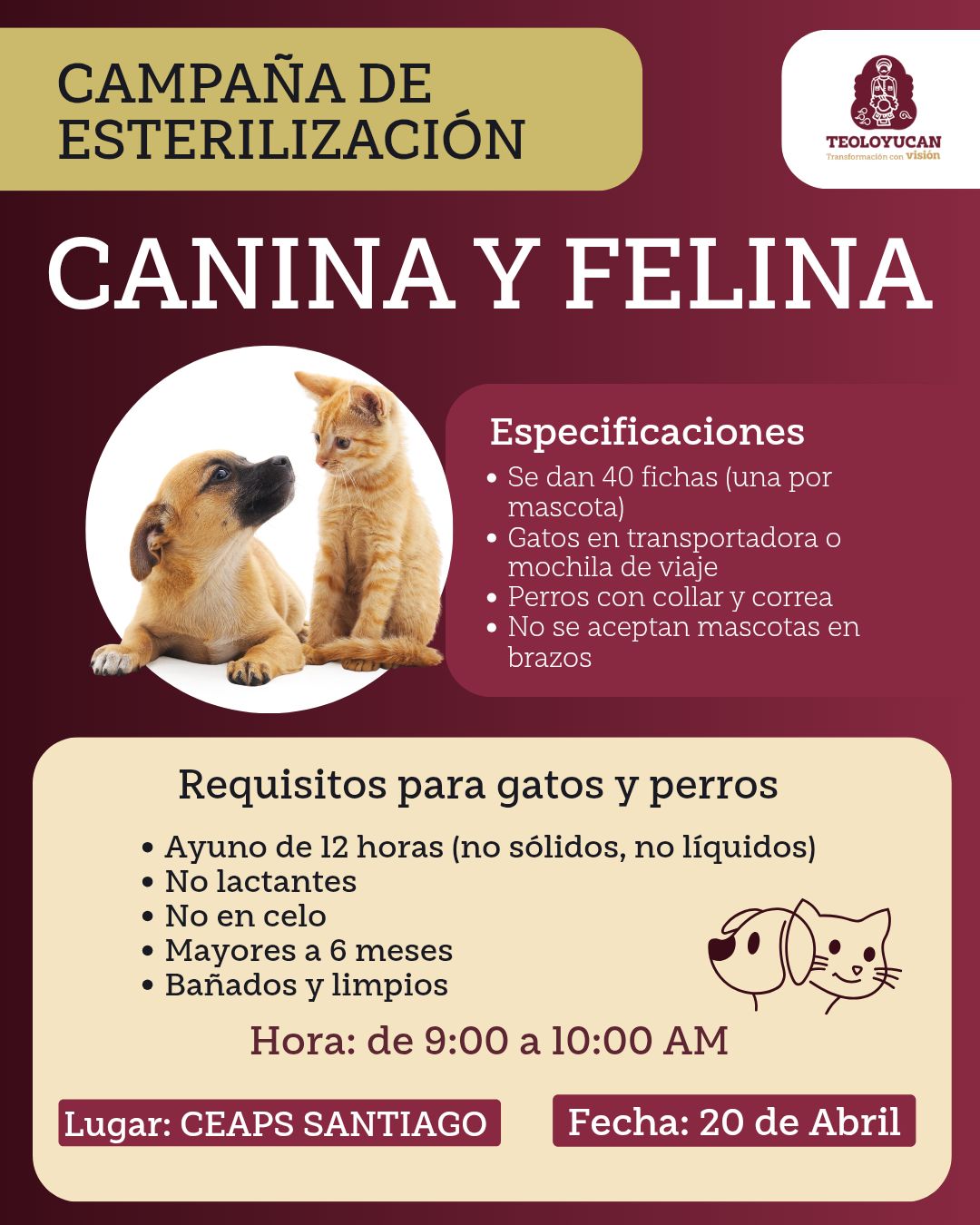 Campaña de esterilización en para mascotas en Teoloyucan