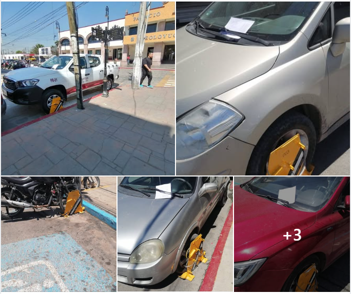 Colocación de inmovilizadores.