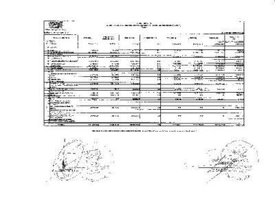 13. Estado Analítico de Egresos Clasificación Funcional