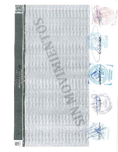 15. Reporte Mensual de Bienes Muebles