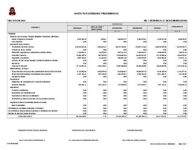 Gasto por categoria programatica