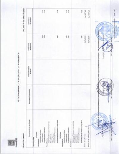 18. Estado analitico de la deuda y otros pasivos