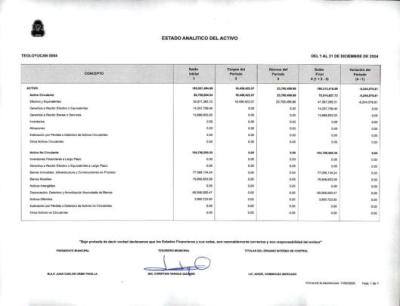 Estado Analítico del Activo