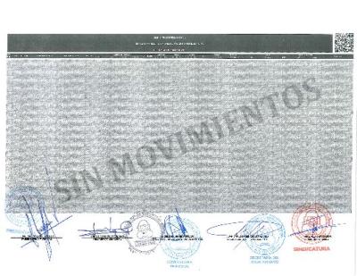 Reporte Mensual de Movimientos de Bienes inmuebles