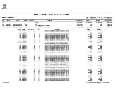Anexo al estado de Situación Financiera