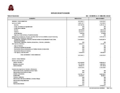 ESTADO DE ACTIVIDADES