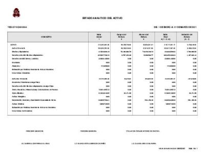 ESTADO ANALÍTICO DEL ACTIVO
