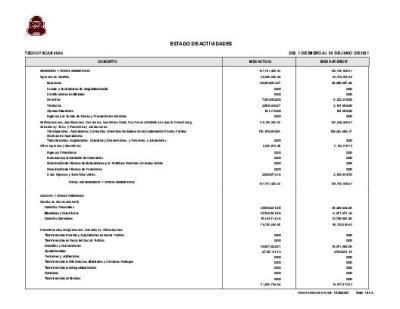 ESTADO DE ACTIVIDADES