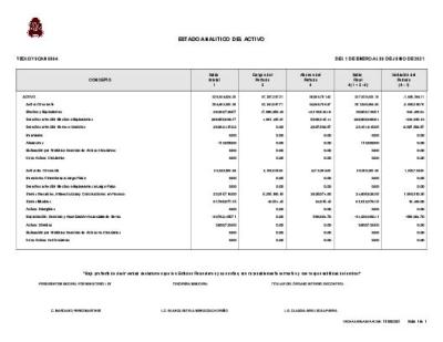 ESTADO ANALÍTICO DEL ACTIVO