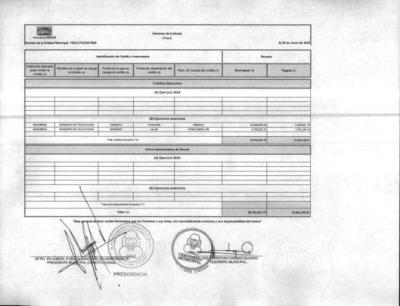 39. Intereses de la Deuda