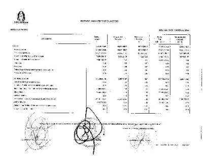 4. Estado Analítico del Activo