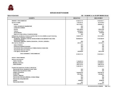 ESTADO DE ACTIVIDADES