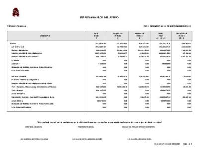 ESTADO ANALITICO DEL ACTIVO