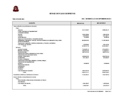 ESTADO DE FLUJOS DE EFECTIVO