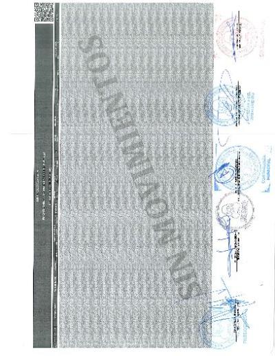Reporte Mensual de Bienes Inmuebles