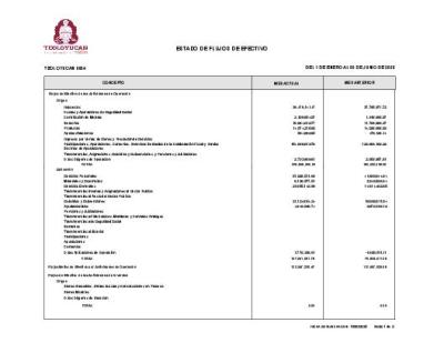 7. Estado de Flujos de Efectivo