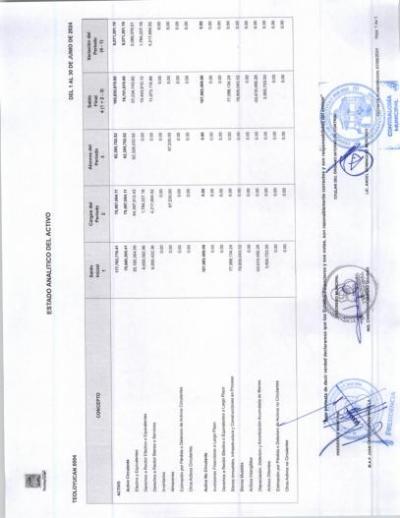Estado Analitico del Activo