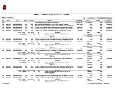 Anexo al Estado de Situación Financiera