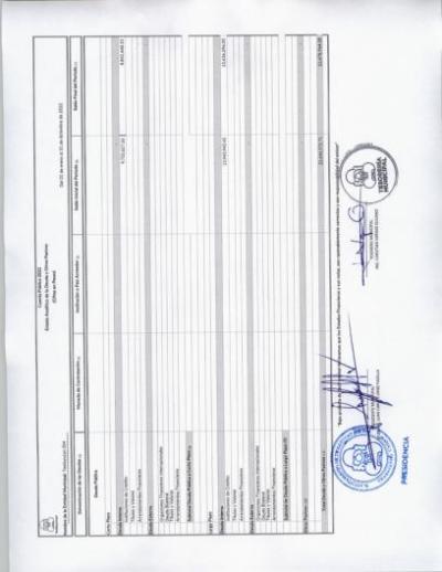 Estado analitico de la Deuda y otros Pasivos