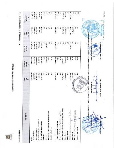Estado Analitico del Activo