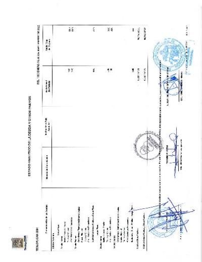 Estado Analítico de la Deuda y otros pasivos