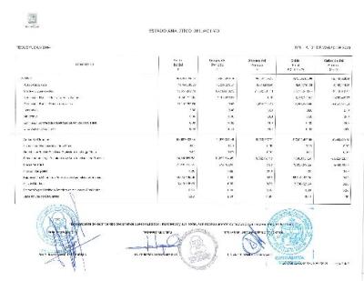 Estado Analitico del Activo