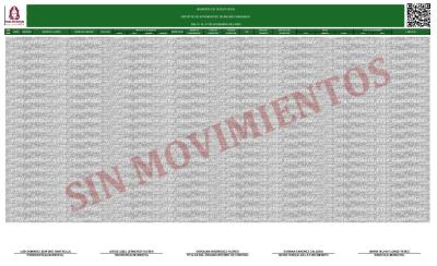 Reporte Mensual de Bienes Inmuebles