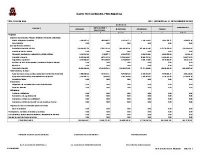Gasto Por Categoria Programatica