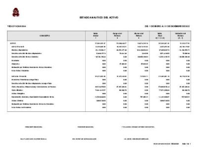 Estado Analitico del Activo