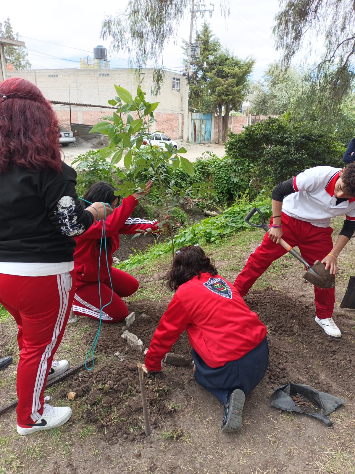 Acciones en Pro de Nuestro Medio Ambiente